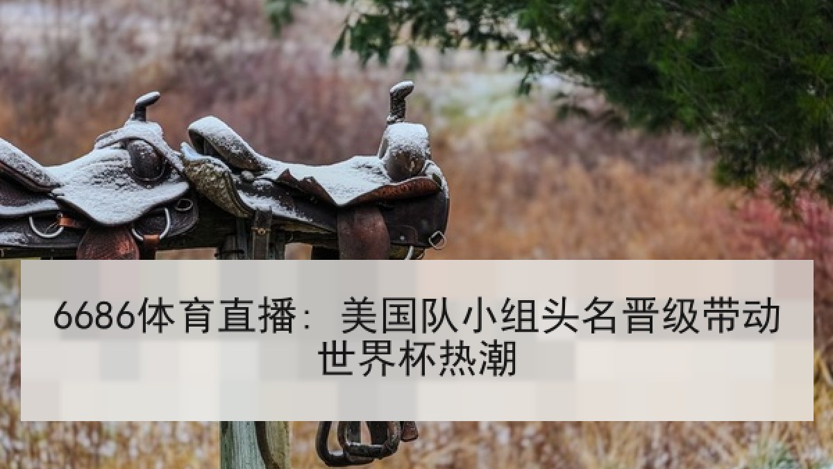6686体育直播: 美国队小组头名晋级带动世界杯热潮