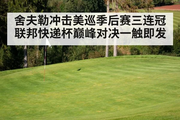 舍夫勒冲击美巡季后赛三连冠联邦快递杯巅峰对决一触即发